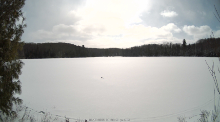 Image from 2025-02-17