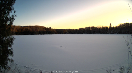 Image from 2025-02-17