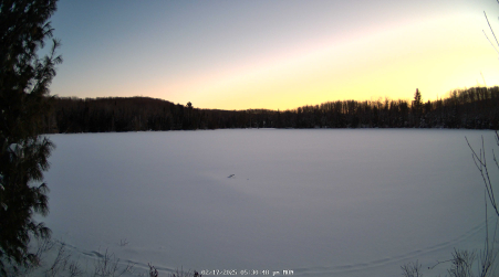 Image from 2025-02-17