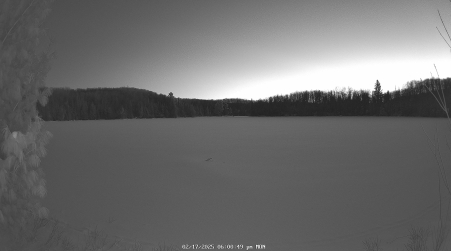 Image from 2025-02-17
