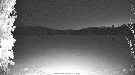 Image from 2025-02-17