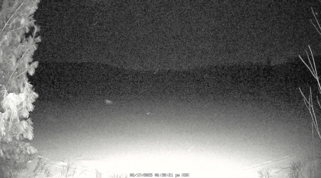 Image from 2025-02-17