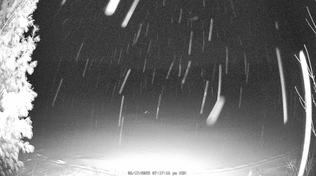 Image from 2025-02-17