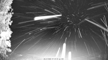 Image from 2025-02-17