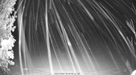 Image from 2025-02-17