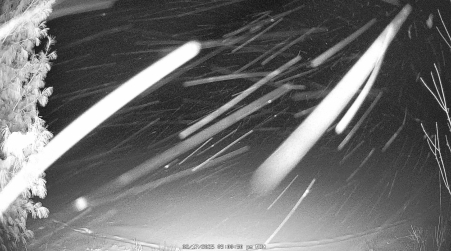 Image from 2025-02-17