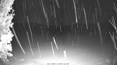 Image from 2025-02-17