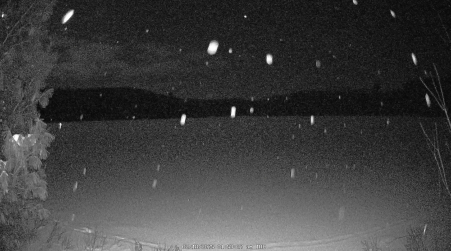 Image from 2025-02-18