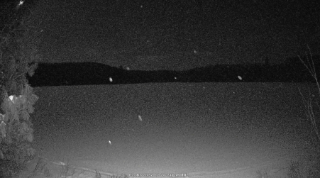 Image from 2025-02-18