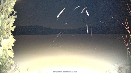 Image from 2025-02-18