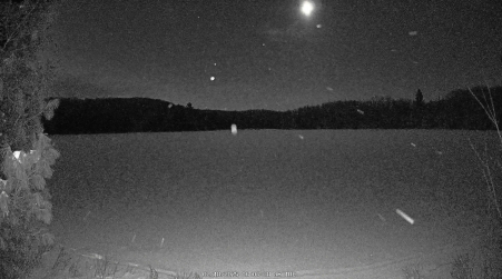 Image from 2025-02-18