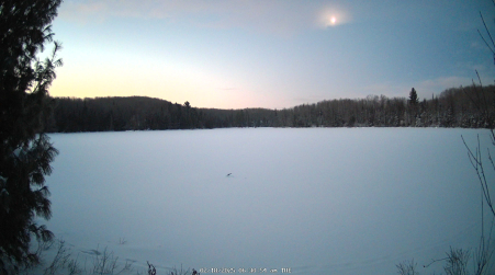 Image from 2025-02-18