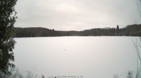 Image from 2025-02-18