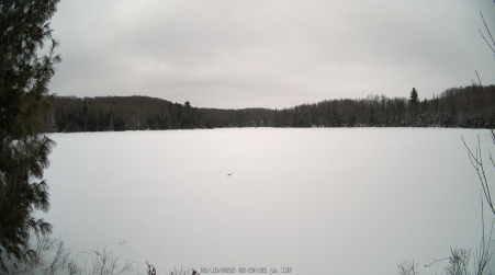 Image from 2025-02-18