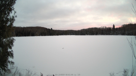 Image from 2025-02-18