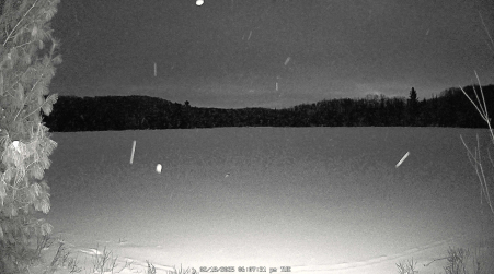 Image from 2025-02-18