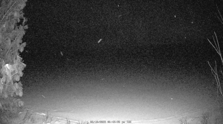 Image from 2025-02-18