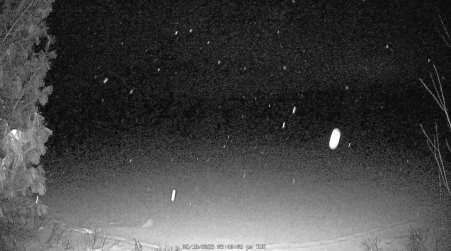 Image from 2025-02-18