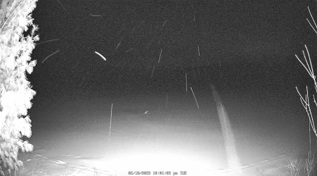 Image from 2025-02-18