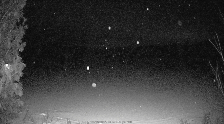 Image from 2025-02-18