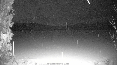 Image from 2025-02-19