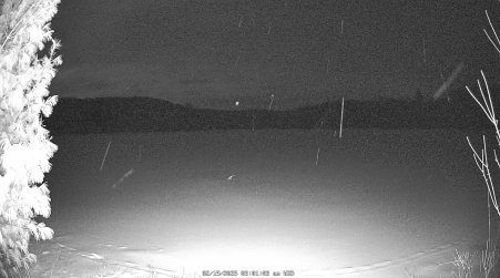 Image from 2025-02-19