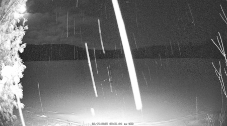 Image from 2025-02-19