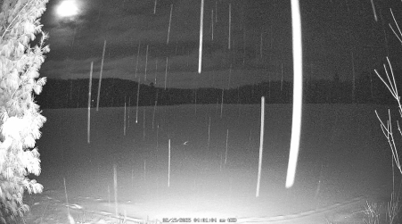 Image from 2025-02-19