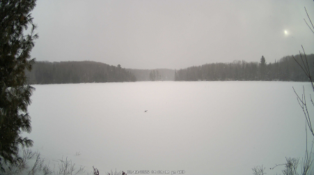 Image from 2025-02-19