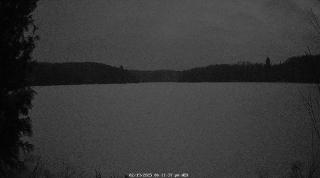 Image from 2025-02-19