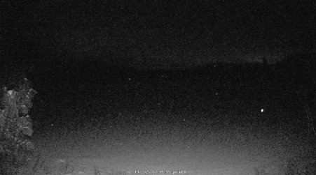 Image from 2025-02-19