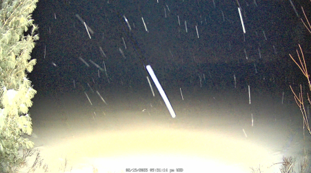Image from 2025-02-19