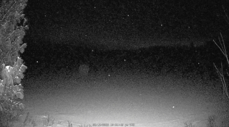 Image from 2025-02-19