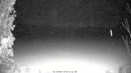 Image from 2025-02-19
