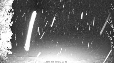 Image from 2025-02-20