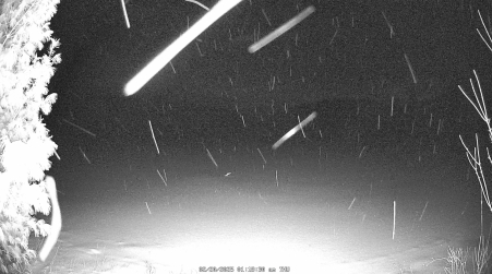 Image from 2025-02-20