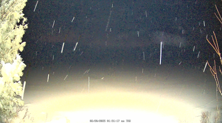 Image from 2025-02-20
