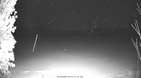 Image from 2025-02-20