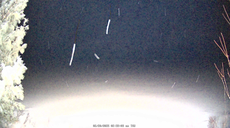 Image from 2025-02-20