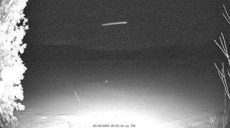 Image from 2025-02-20