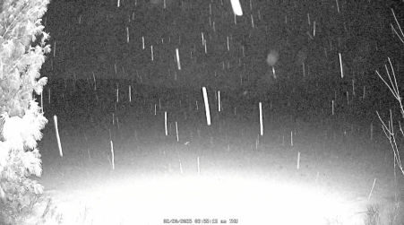 Image from 2025-02-20