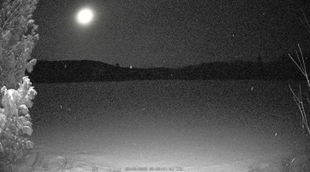 Image from 2025-02-20