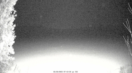 Image from 2025-02-20