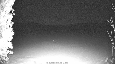 Image from 2025-02-21