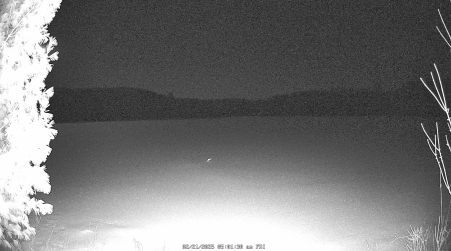 Image from 2025-02-21