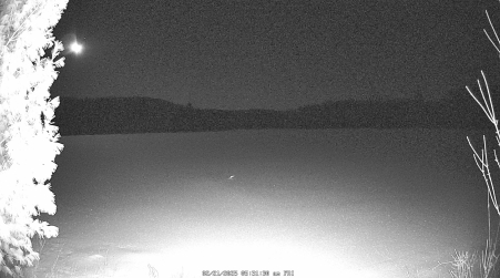 Image from 2025-02-21