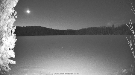 Image from 2025-02-21