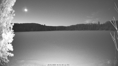 Image from 2025-02-21