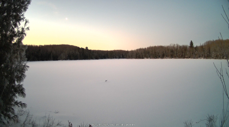 Image from 2025-02-21
