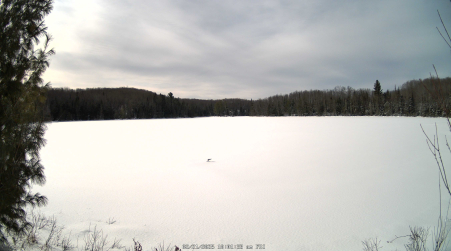 Image from 2025-02-21